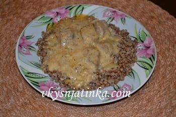 Готовая подлива из томатной пасты, сметаны и мяса с гречкой