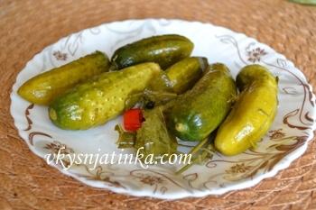 Вот такие получаются вкусные малосольные огурцы