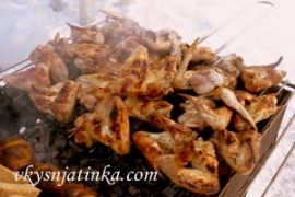 Крылышки на костре - фото