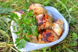 Шашлык из куриного филе - фото