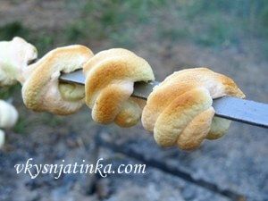 Зефир на костре - фото